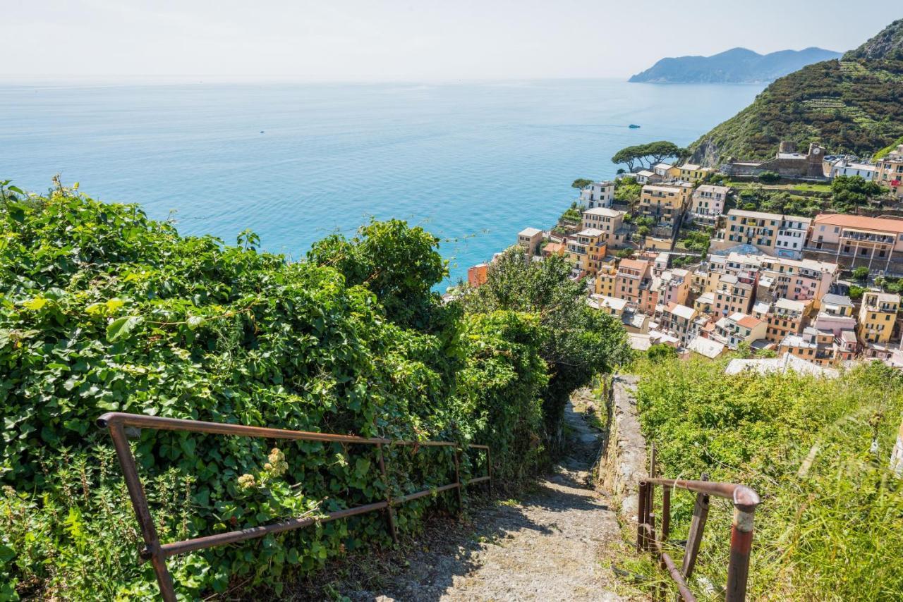 Riomaggiore Panoramic Apartment With Terrace! X6 Kültér fotó